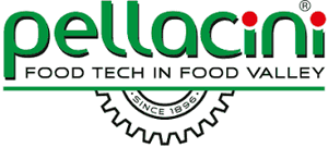 PELLACINI Engineering
